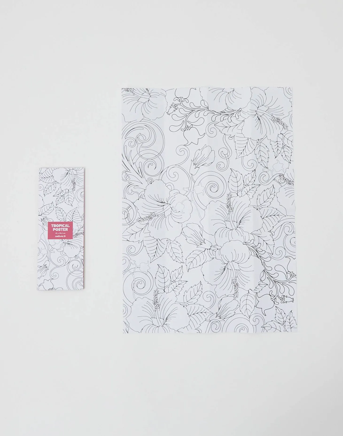 Póster Para Colorear